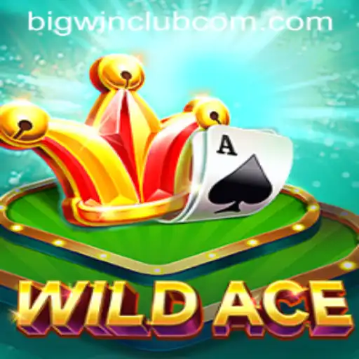 Exploring the Thrills of WildAce: Join the BIG WIN CLUB Journey